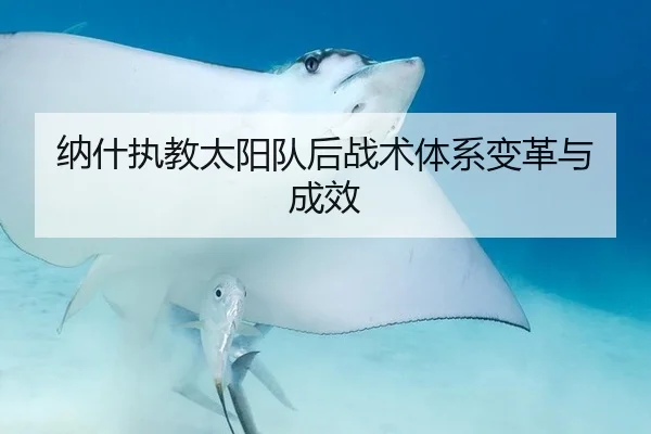 纳什执教太阳队后战术体系变革与成效