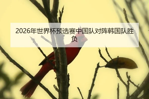 2026年世界杯预选赛中国队对阵韩国队胜负