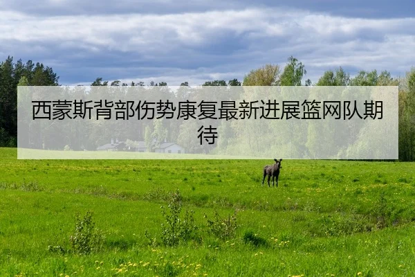 xi-meng-si-bei-bu-shang-shi-kang-fu-zui-xin-jin-zhan-lan-wang-dui-qi-dai-2-730.jpg