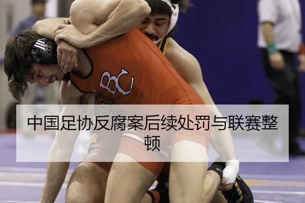 中国足协反腐案后续处罚与联赛整顿